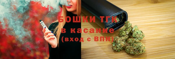 соль ск Горнозаводск