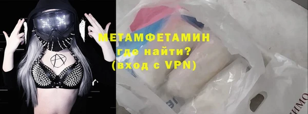 прущие грибы Гусиноозёрск