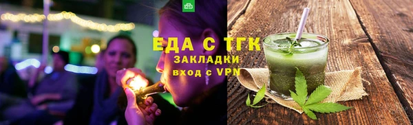 прущие грибы Гусиноозёрск