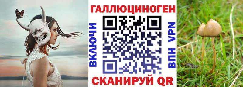 Псилоцибиновые грибы мухоморы  Северск 